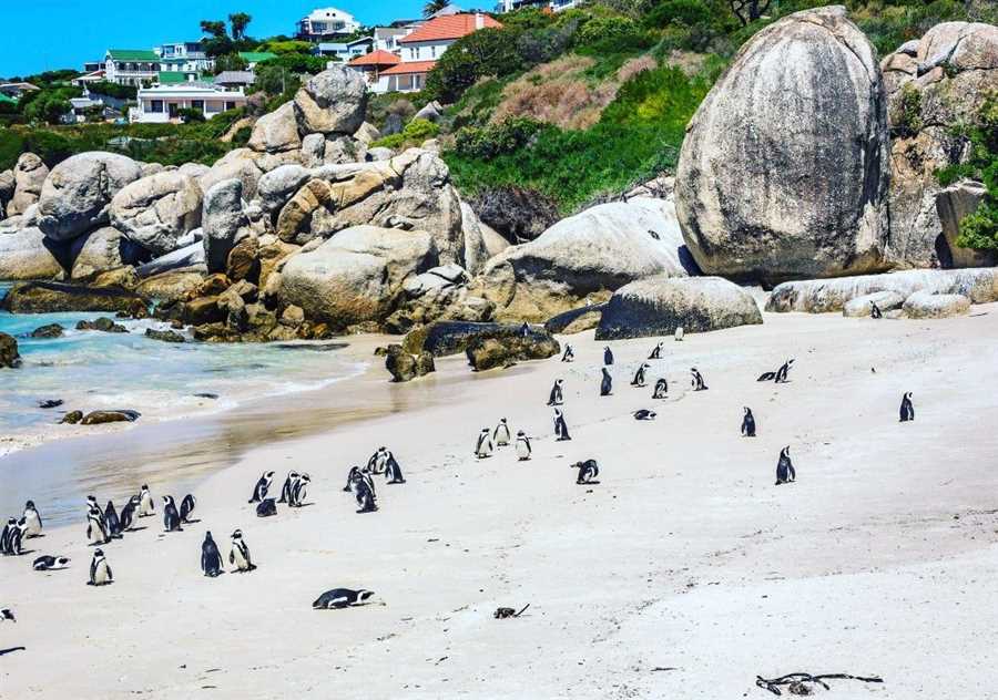 The Best of Australia