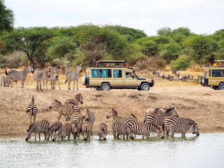 9 Days Kenya Safari & Beach Holiday