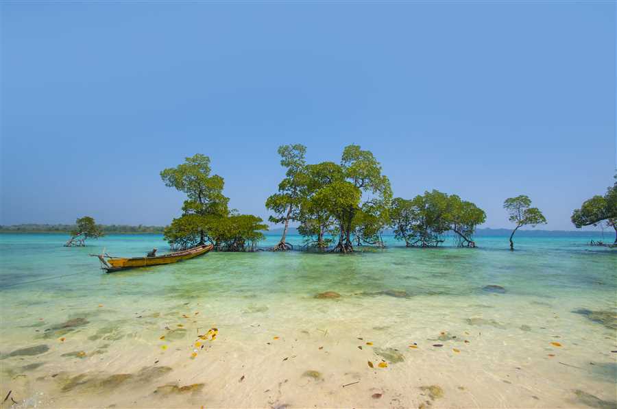 Andaman Paradise- Budget Package