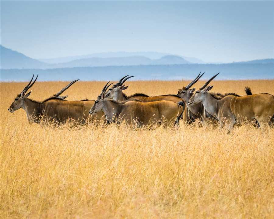 7 days Tanzania & Zanzibar Package