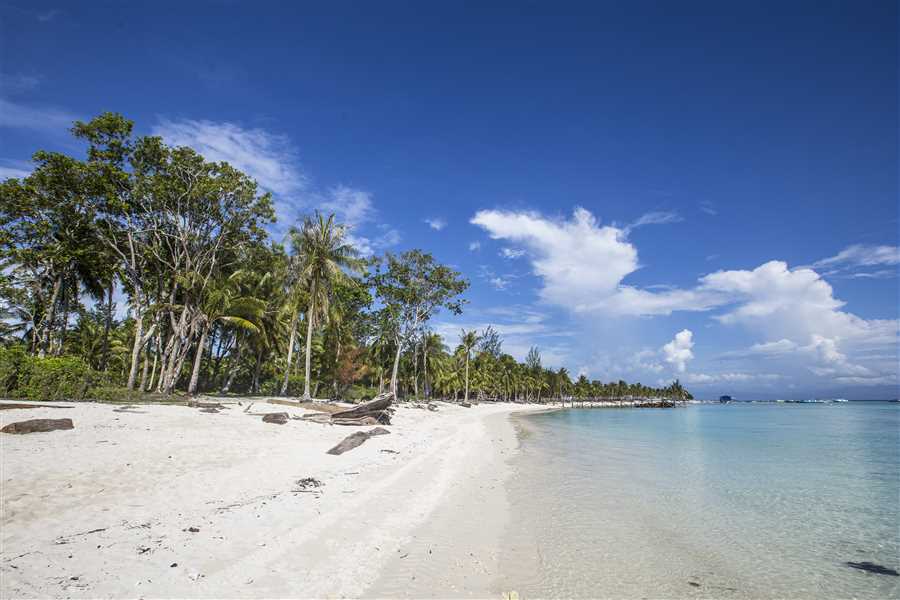 Andaman Paradise- Superior Package