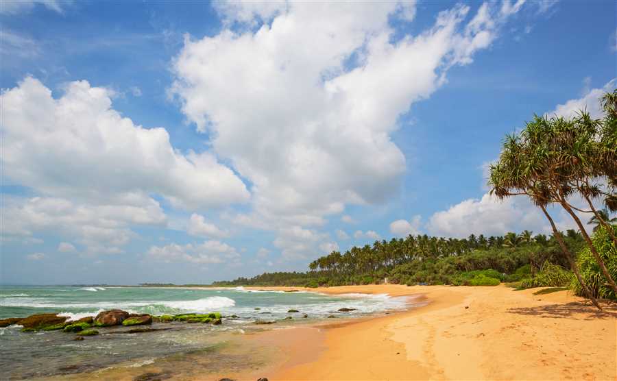 Andaman Paradise- Premium Package