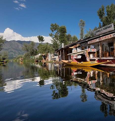 Winter wonders in Kashmir