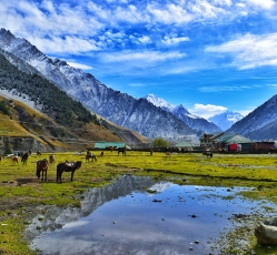 Kashmir holiday packages